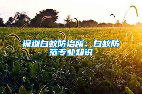 深圳白蟻防治所:白蟻防范專業(yè)知識