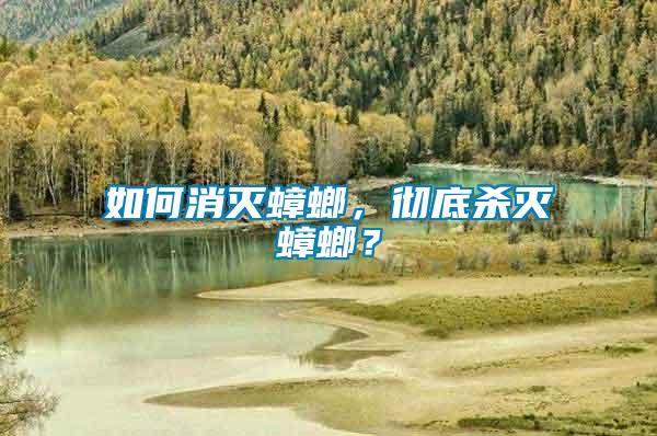 如何消滅蟑螂，徹底殺滅蟑螂？