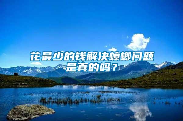 花最少的錢解決蟑螂問題是真的嗎？