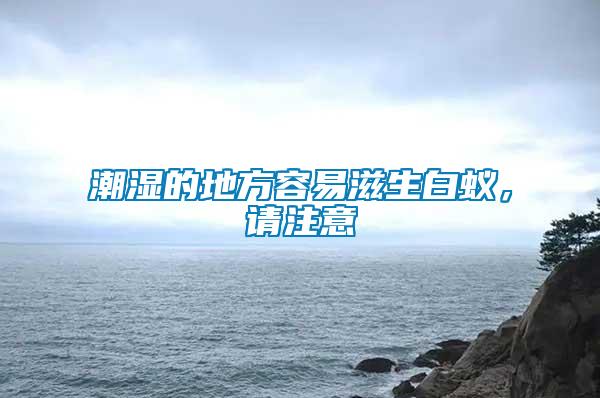 潮濕的地方容易滋生白蟻，請注意