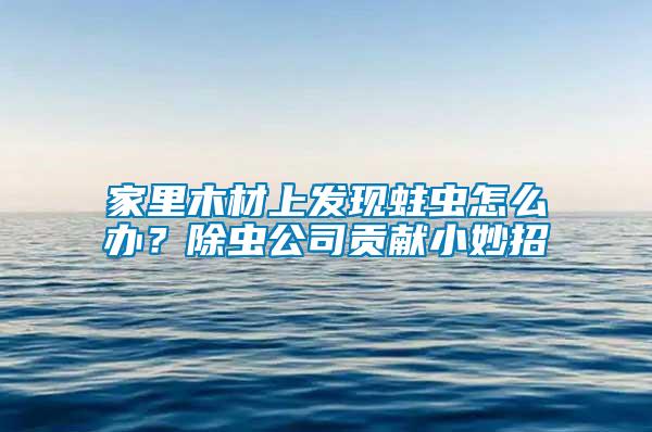 家里木材上發(fā)現(xiàn)蛀蟲怎么辦？除蟲公司貢獻小妙招