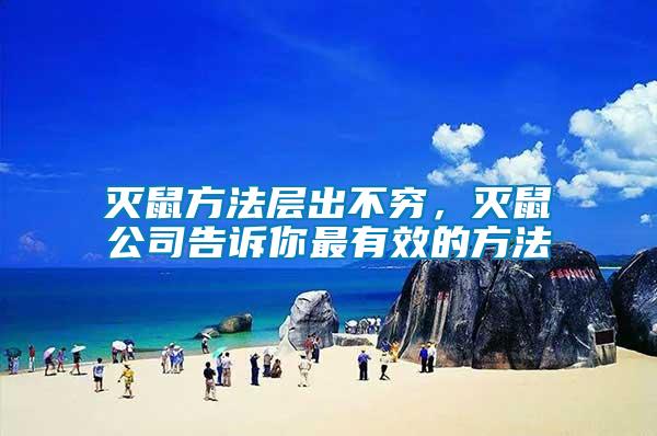 滅鼠方法層出不窮，滅鼠公司告訴你最有效的方法