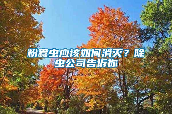 粉蠹蟲應(yīng)該如何消滅？除蟲公司告訴你