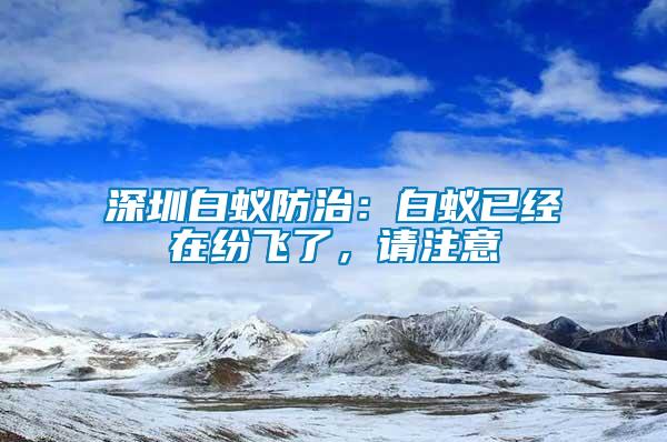 深圳白蟻防治：白蟻已經在紛飛了，請注意