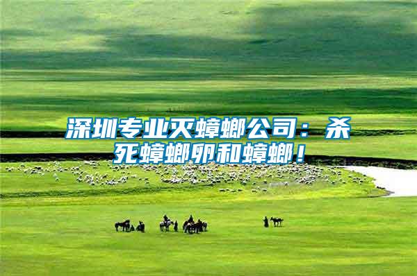 深圳專業滅蟑螂公司：殺死蟑螂卵和蟑螂！