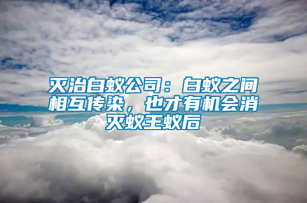 滅治白蟻公司：白蟻之間相互傳染，也才有機會消滅蟻王蟻后