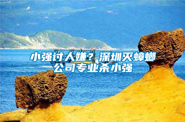 小強討人嫌？深圳滅蟑螂公司專業殺小強