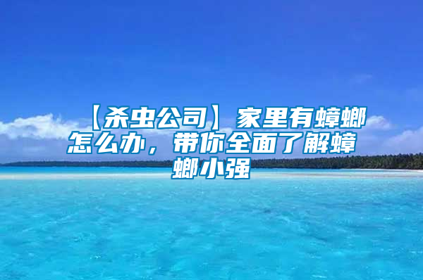 【殺蟲公司】家里有蟑螂怎么辦，帶你全面了解蟑螂小強(qiáng)