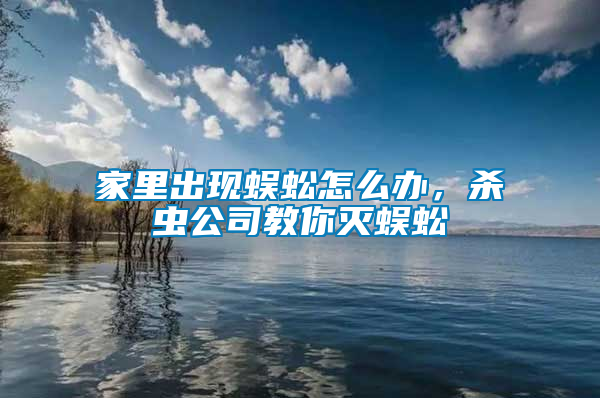 家里出現蜈蚣怎么辦，殺蟲公司教你滅蜈蚣