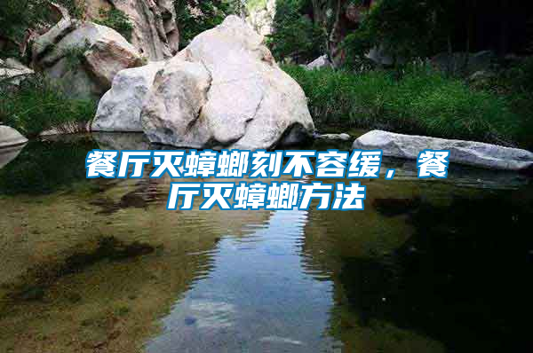 餐廳滅蟑螂刻不容緩，餐廳滅蟑螂方法