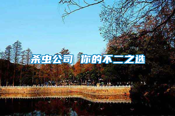 殺蟲(chóng)公司 你的不二之選