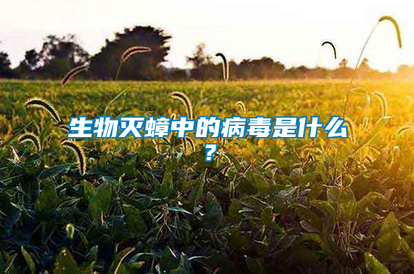 生物滅蟑中的病毒是什么？