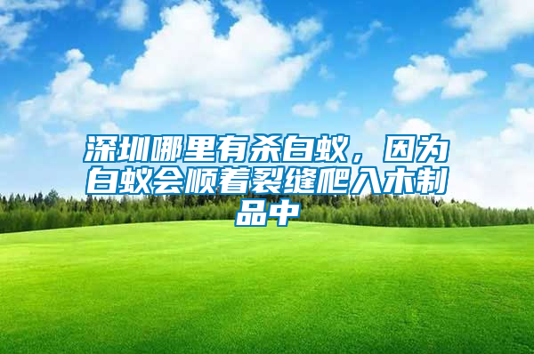 深圳哪里有殺白蟻，因為白蟻會順著裂縫爬入木制品中