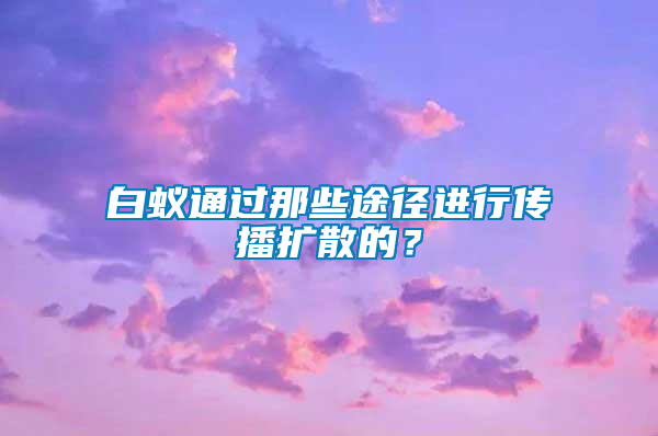 白蟻通過(guò)那些途徑進(jìn)行傳播擴(kuò)散的？