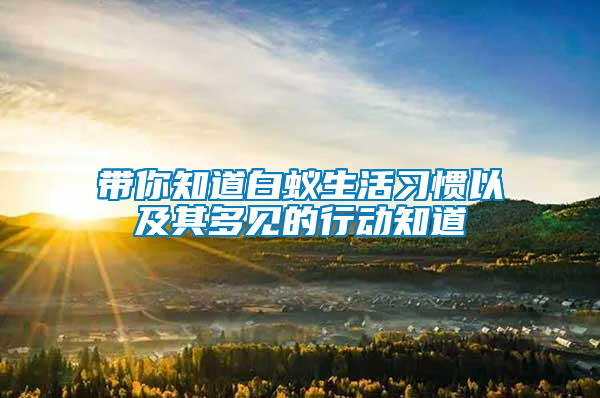 帶你知道白蟻生活習(xí)慣以及其多見的行動(dòng)知道