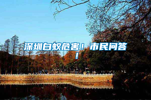 深圳白蟻危害！市民問答！