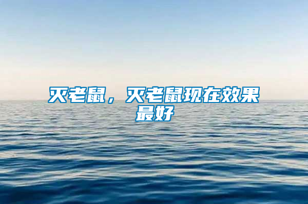 滅老鼠，滅老鼠現在效果最好