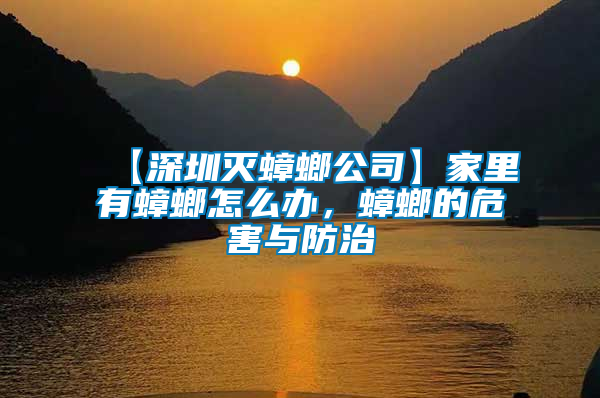 【深圳滅蟑螂公司】家里有蟑螂怎么辦，蟑螂的危害與防治