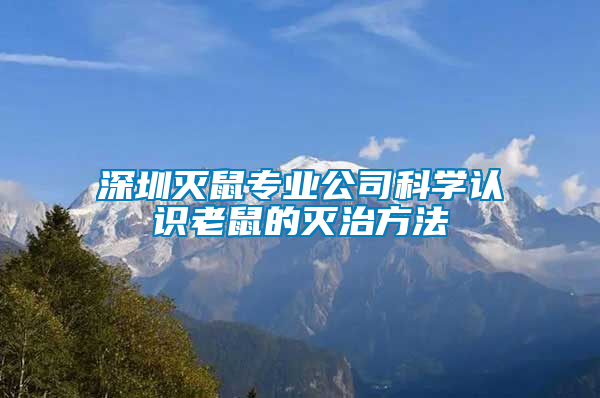 深圳滅鼠專業(yè)公司科學(xué)認(rèn)識(shí)老鼠的滅治方法