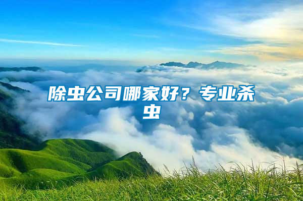 除蟲公司哪家好？專業殺蟲