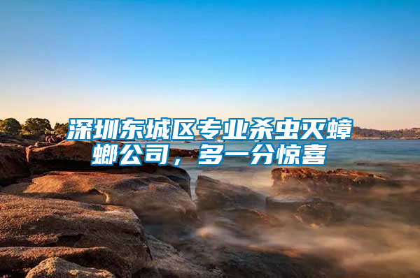 深圳東城區(qū)專業(yè)殺蟲滅蟑螂公司，多一分驚喜