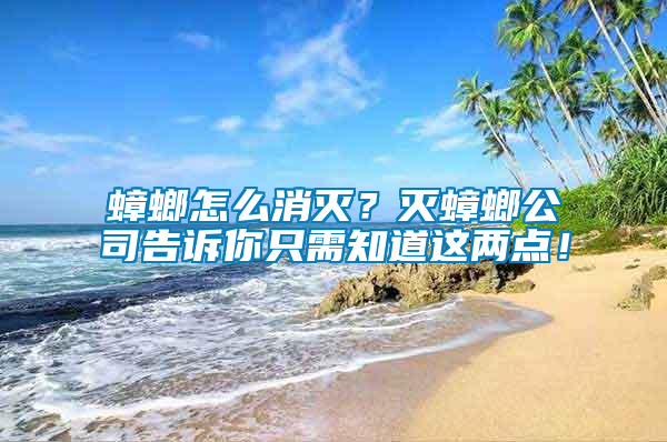 蟑螂怎么消滅？滅蟑螂公司告訴你只需知道這兩點！