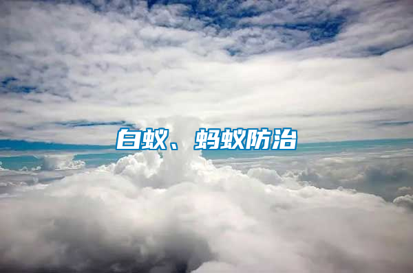 白蟻、螞蟻防治