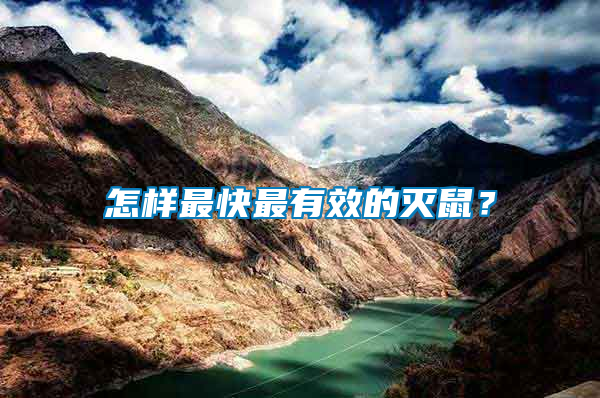 怎樣最快最有效的滅鼠？