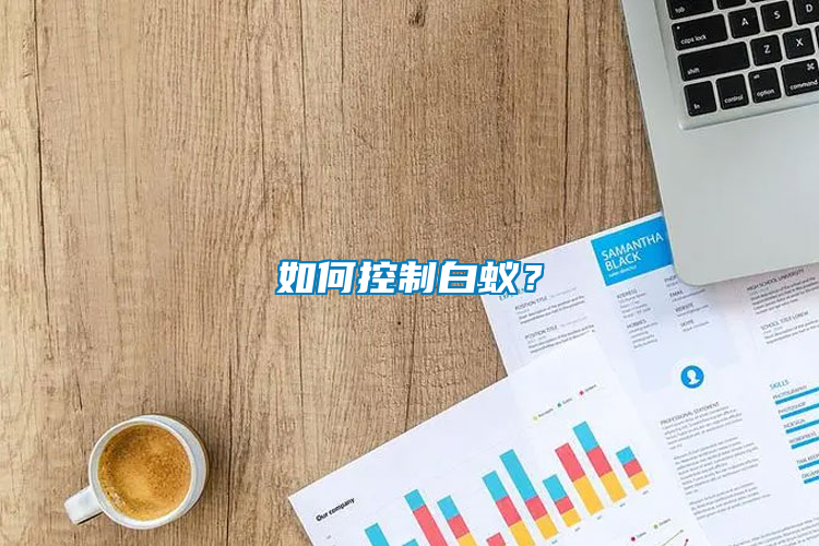 如何控制白蟻？