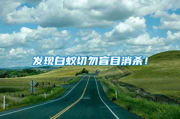 發(fā)現(xiàn)白蟻切勿盲目消殺！