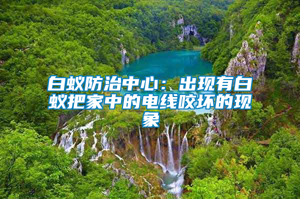 白蟻防治中心：出現有白蟻把家中的電線咬壞的現象